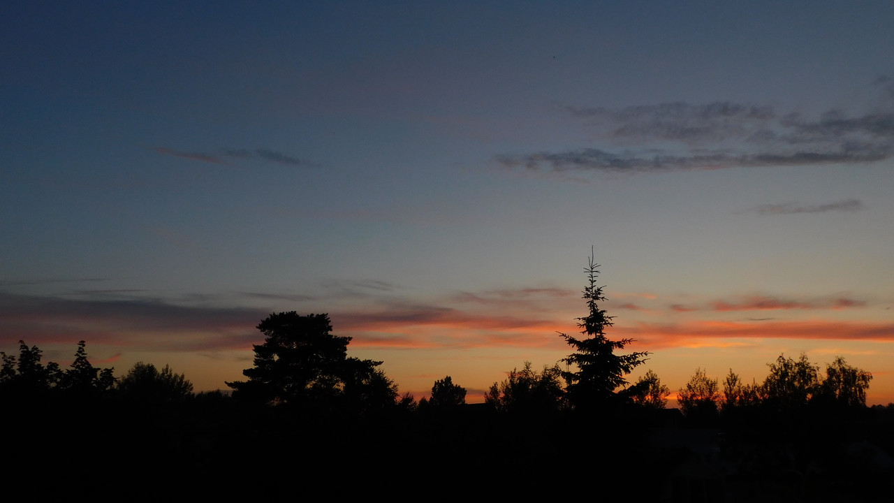 Дачное июль кудряшка , маус-машина и природа 078