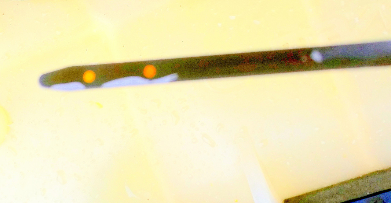 386AF7BA-456A-46EA-9FB3-FD23DD8CFE56