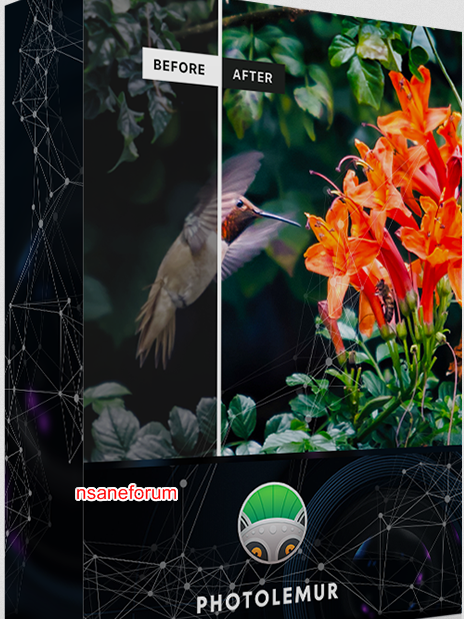 2019-02-11-12h01-46.png
