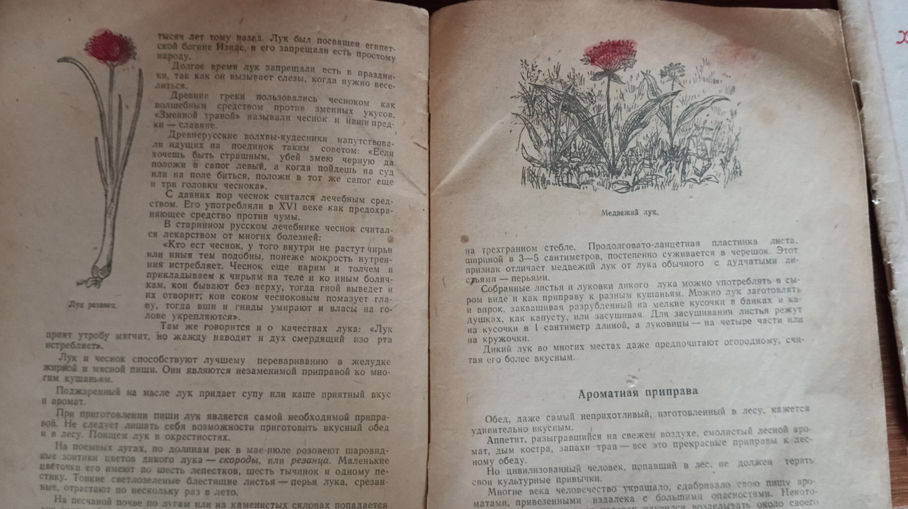 IMG 20260505 152240