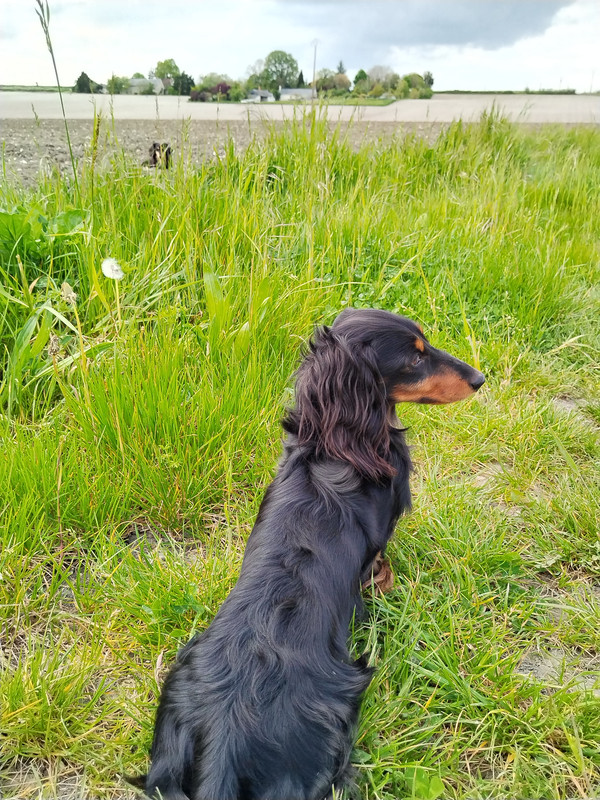 [Image: IMG-20230430-182510.jpg]