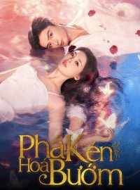 Phá Kén Hoá Bướm