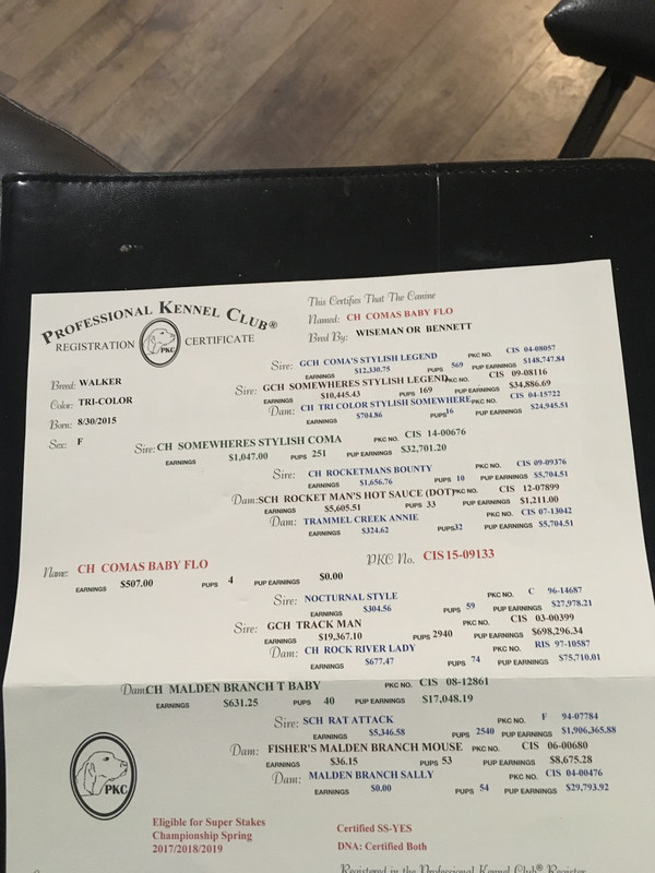 56C6AE80-2D45-487C-B00D-60344F0E4E8F