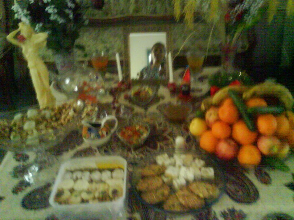 volghanhosseini (1027)