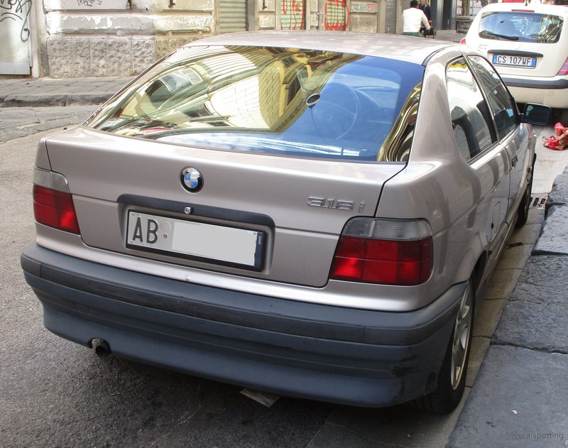 IMG-6664.jpg