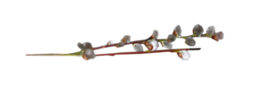 0-c84ba-18f2144e-M