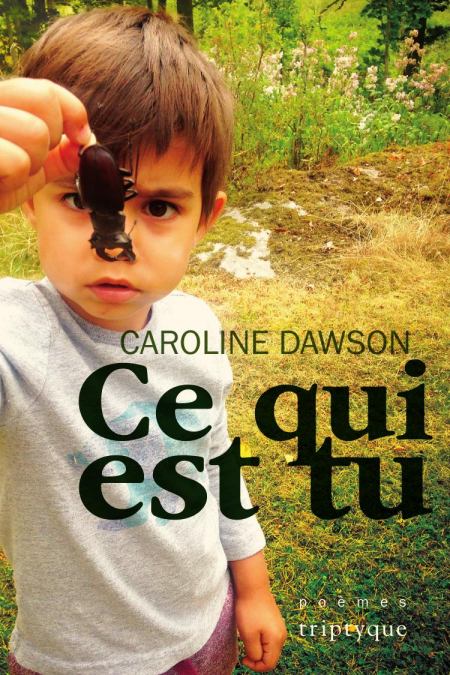 Ce-qui-est-tu-Caroline-Dawson.jpg