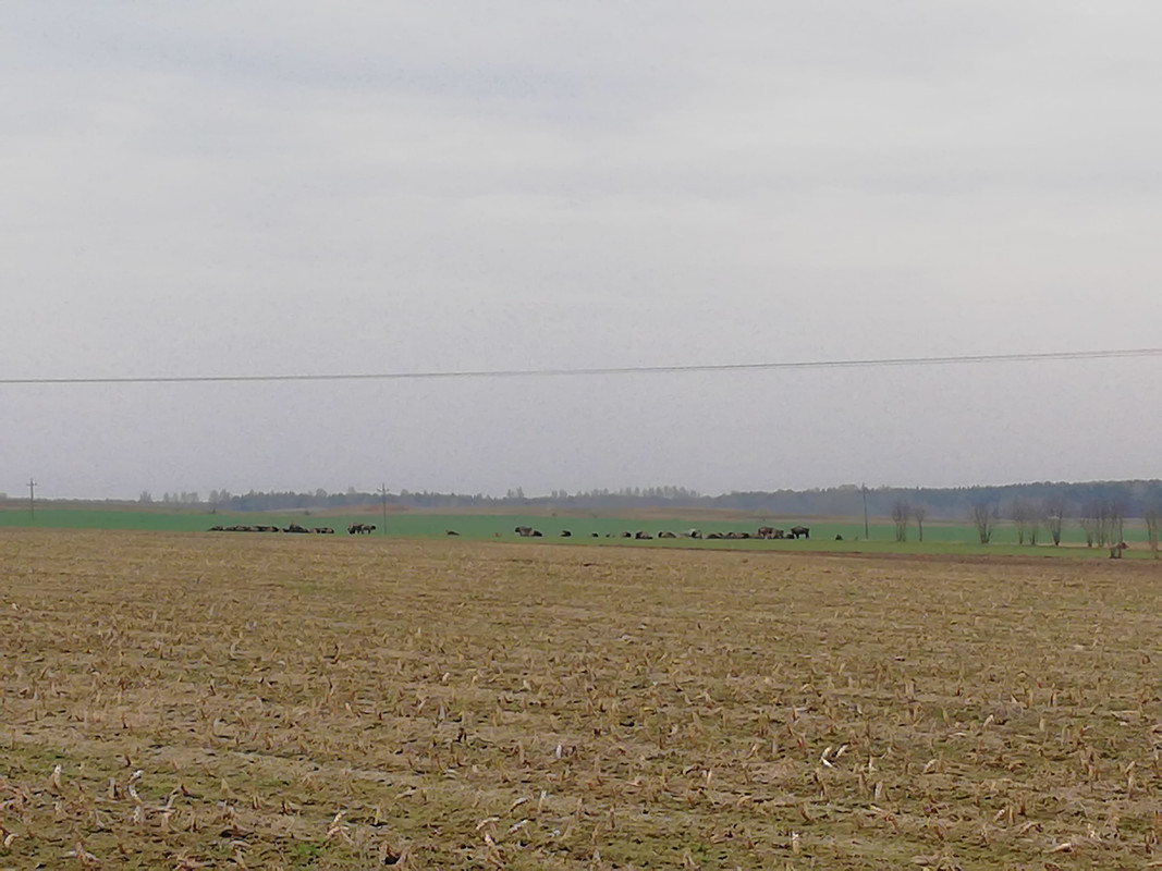 30740507_2274868399406964_3362001769679814656_n