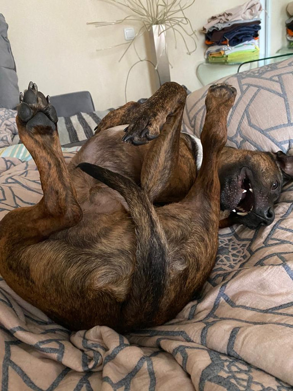 C728C3AB-1218-4938-BDE9-E893DCC24F79