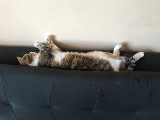 1-D06-A6-DD-C931-4060-B807-9-B20-EA2-CE9