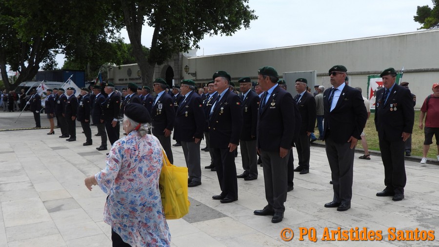 505993216-2426592664389577-5723455446441075013-n