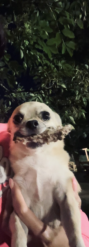 176248DB-34C2-4785-B20F-5B40BDC3D678