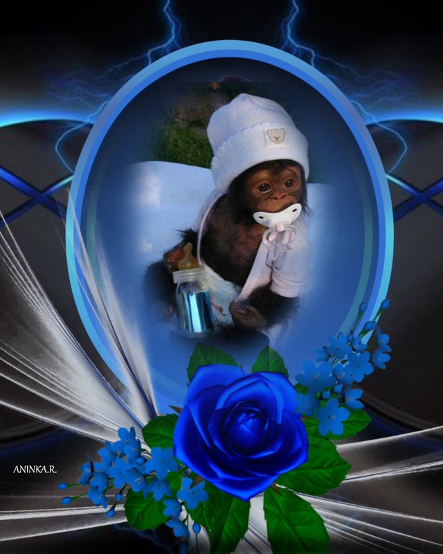 imikimi zo photo (37)