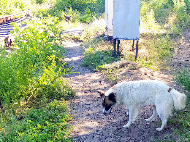 IMG-20190530-163024web.jpg