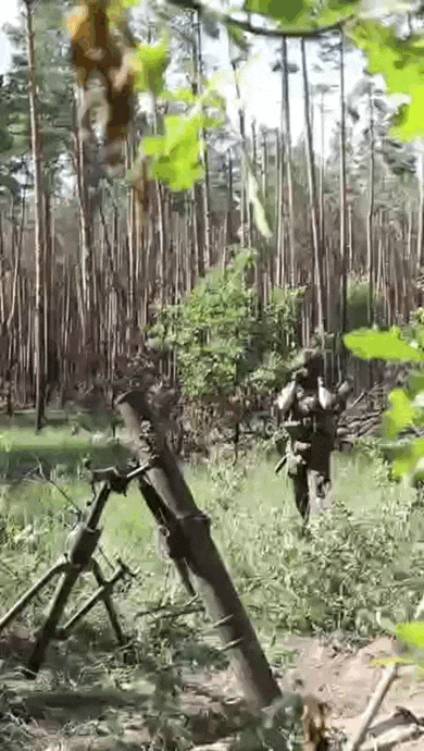 https://i.postimg.cc/vmB42Ggy/video-2026-07-22-11-30-12-(1).gif