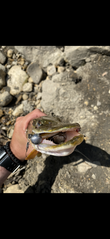 59D75915-9669-48BC-9837-CF64497E7C9C