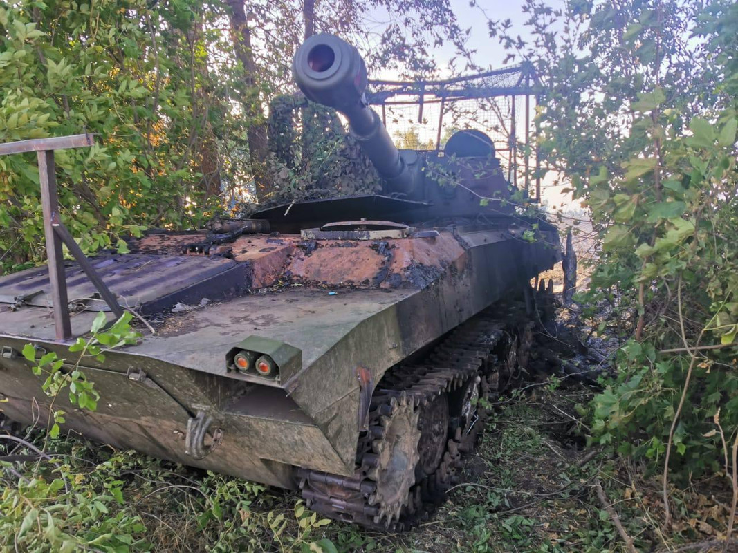 1047 2S1 'Gvozdika' destr 17 10 24