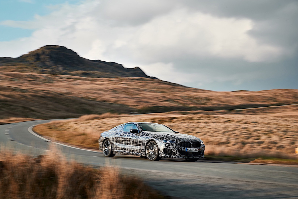 BMW 8 Series Coupe (15)