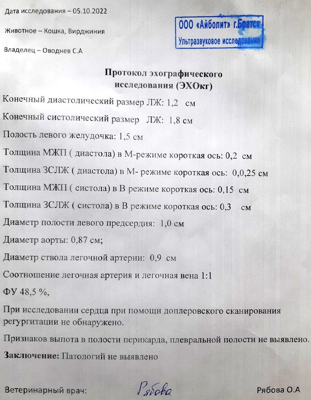 узи сердца