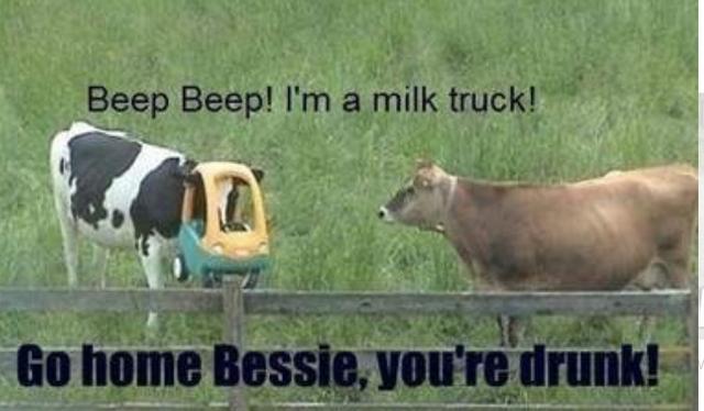 D002D10B-C26E-438D-93E6-A4517961C720