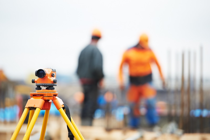 Surveyors