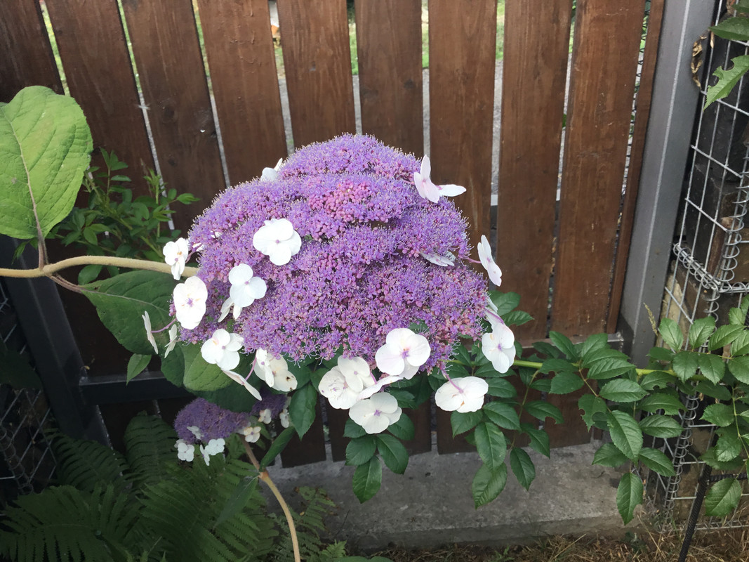 4135B5C8-3930-47B5-96D0-E33204742D1E