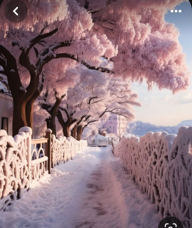 Screenshot_20240120_122241_Pinterest