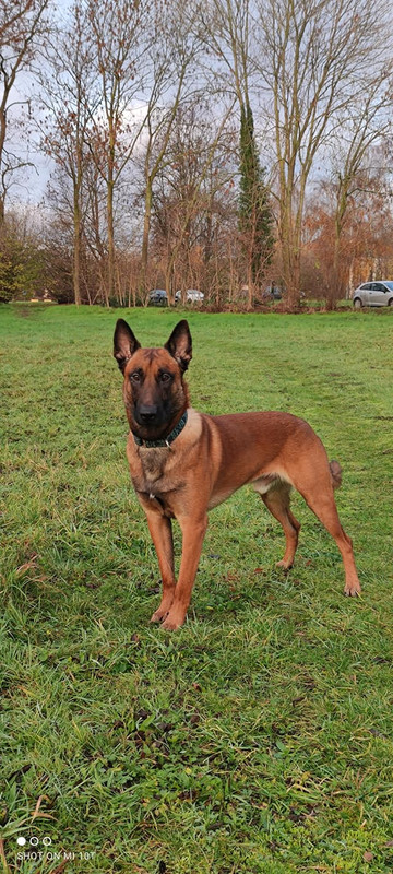 131888698_10158081048912799_2973264742172838669_o