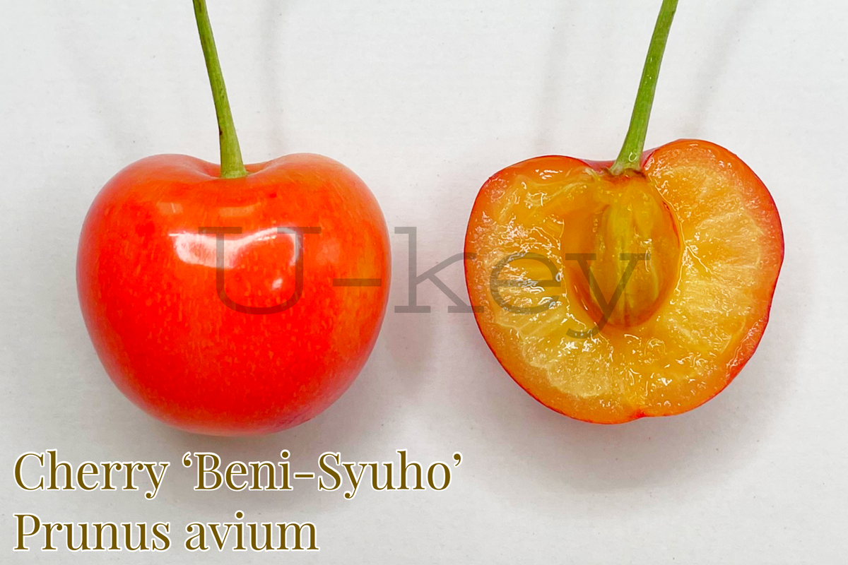 8EDCF4BC-43BE-45D6-81A1-8D22A1EBE36B