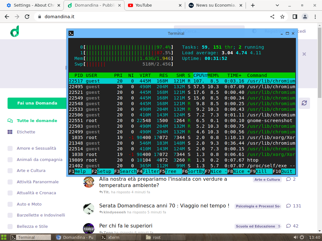 RAM stress test, Slax Linux 32bit, Htop, Chromium, Domandina