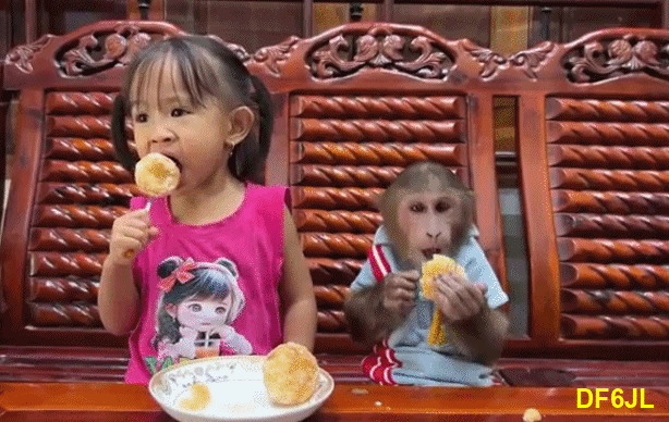 An den Beitrag angehängtes Bild: https://i.postimg.cc/vmCPbNtT/Baby-Affe-02.gif