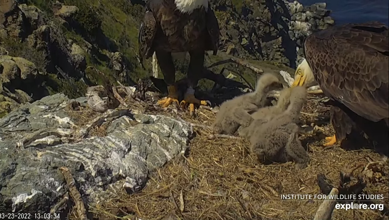 A2943304-7C21-4C1A-9F3D-7434D680F1BD