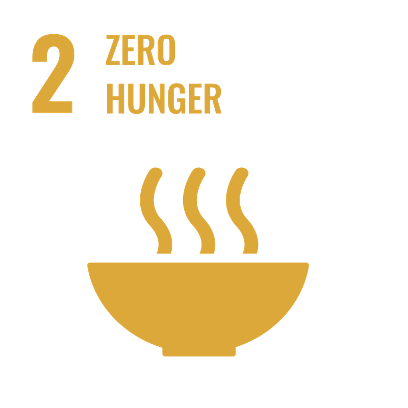 SDG 3