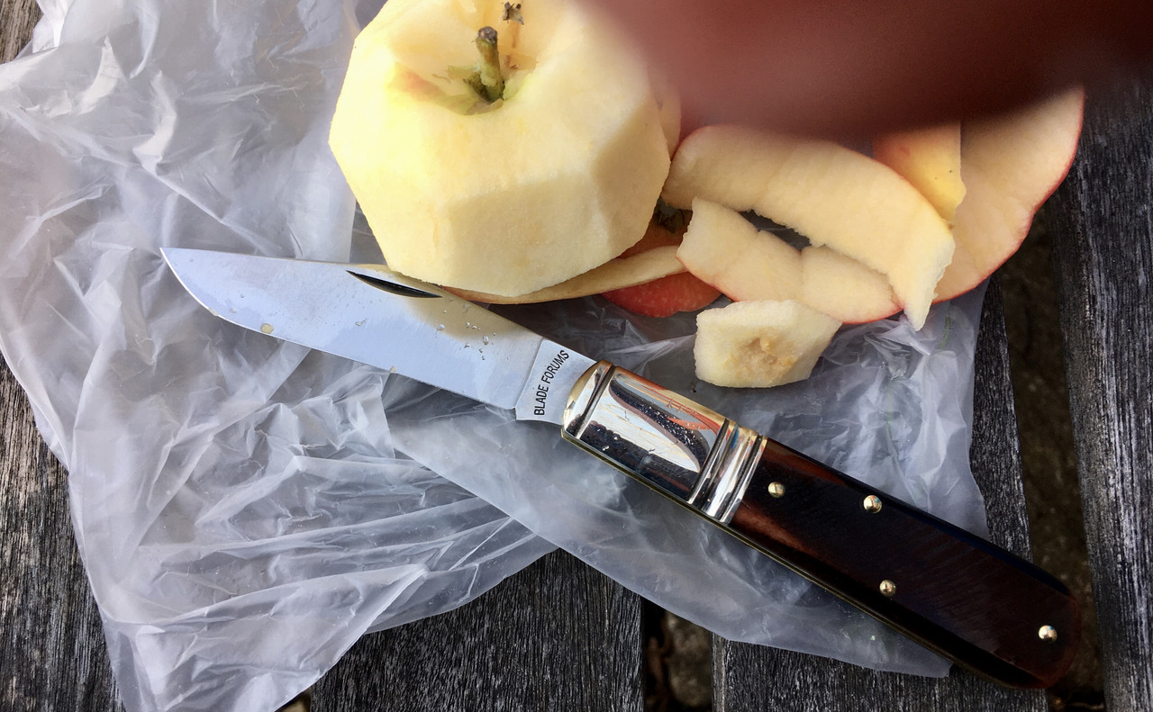 049FE2D9-F0A1-499C-AE06-9D99D6E79303