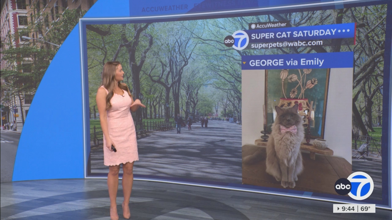 Eyewitness News This Morning_20250419_14001500.ts_snapshot_45.55.580