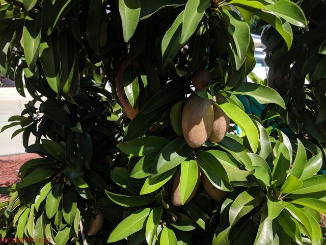 [Image: IMG-20190803-162200.jpg]