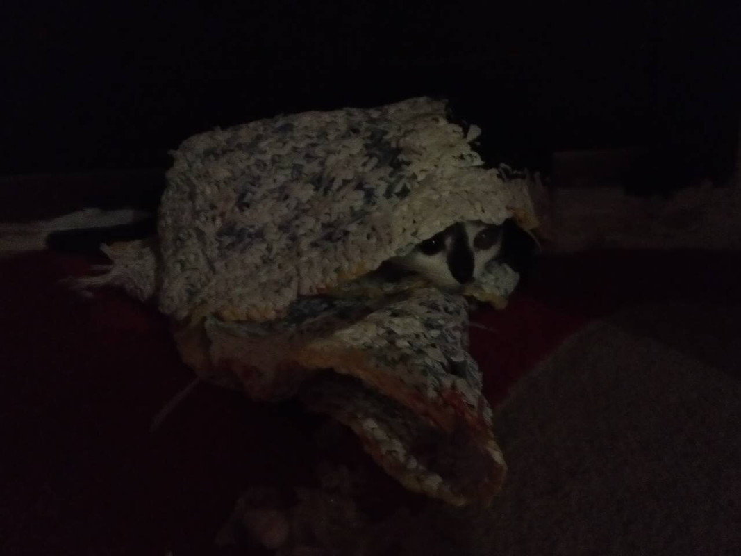 8251CB07-24CB-4AE2-B44C-A5E402ED497A