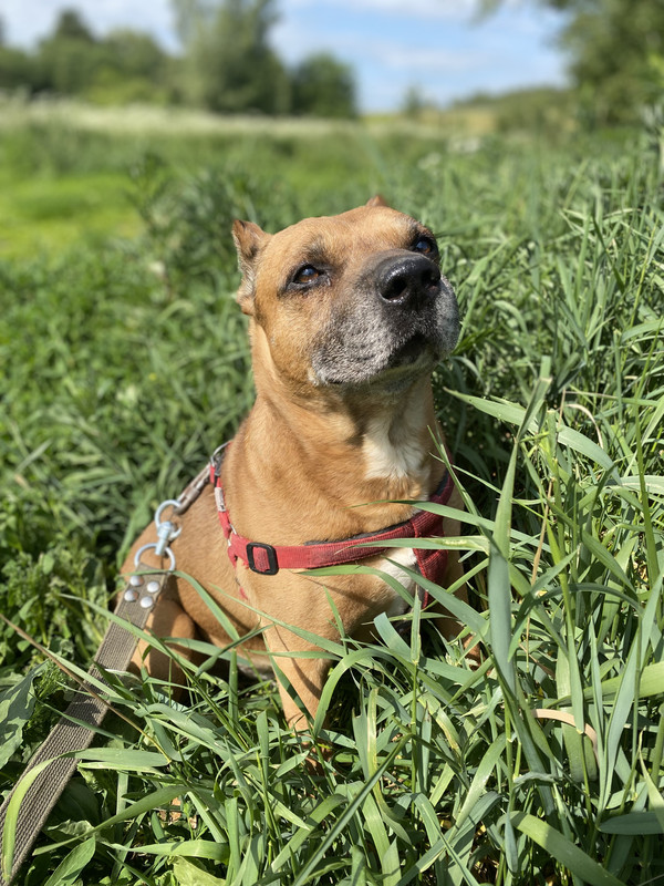 6A4DB2BB-0B55-4E55-9846-EFCA0C305EDF