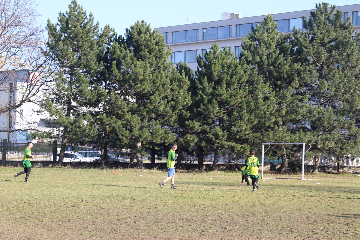 IMG-5353