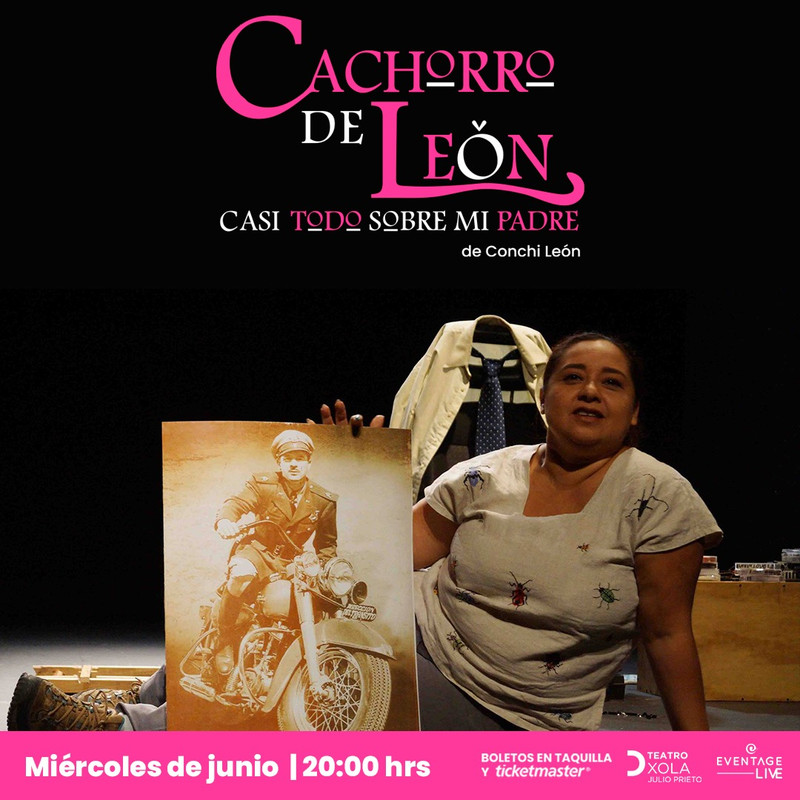 ENTRE GARRAS Y LIBERTAD: “CACHORRO DE LEÓN” PARA ROM