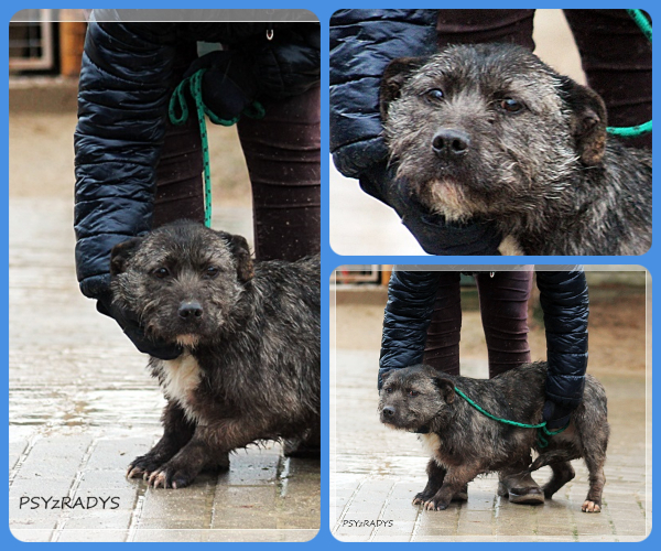 BeFunky-collage (27)