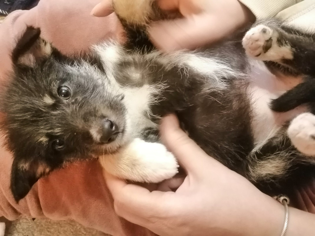 284FCF85-77EE-4458-929C-6A7371BCC67E