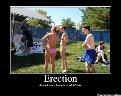 [Image: Erection.png]