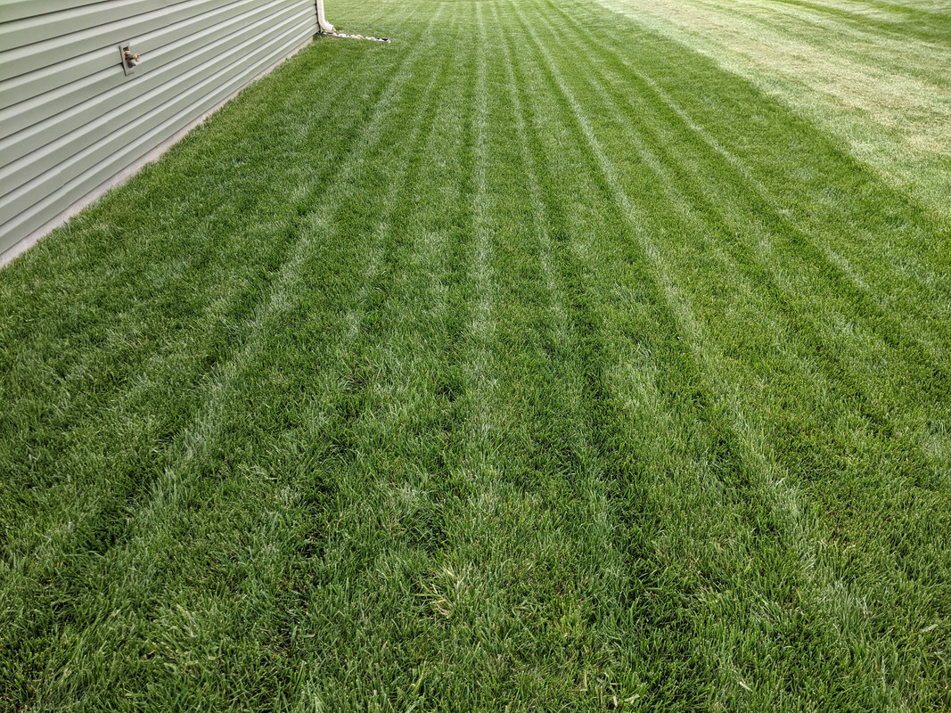 PXL_20210423_225016492