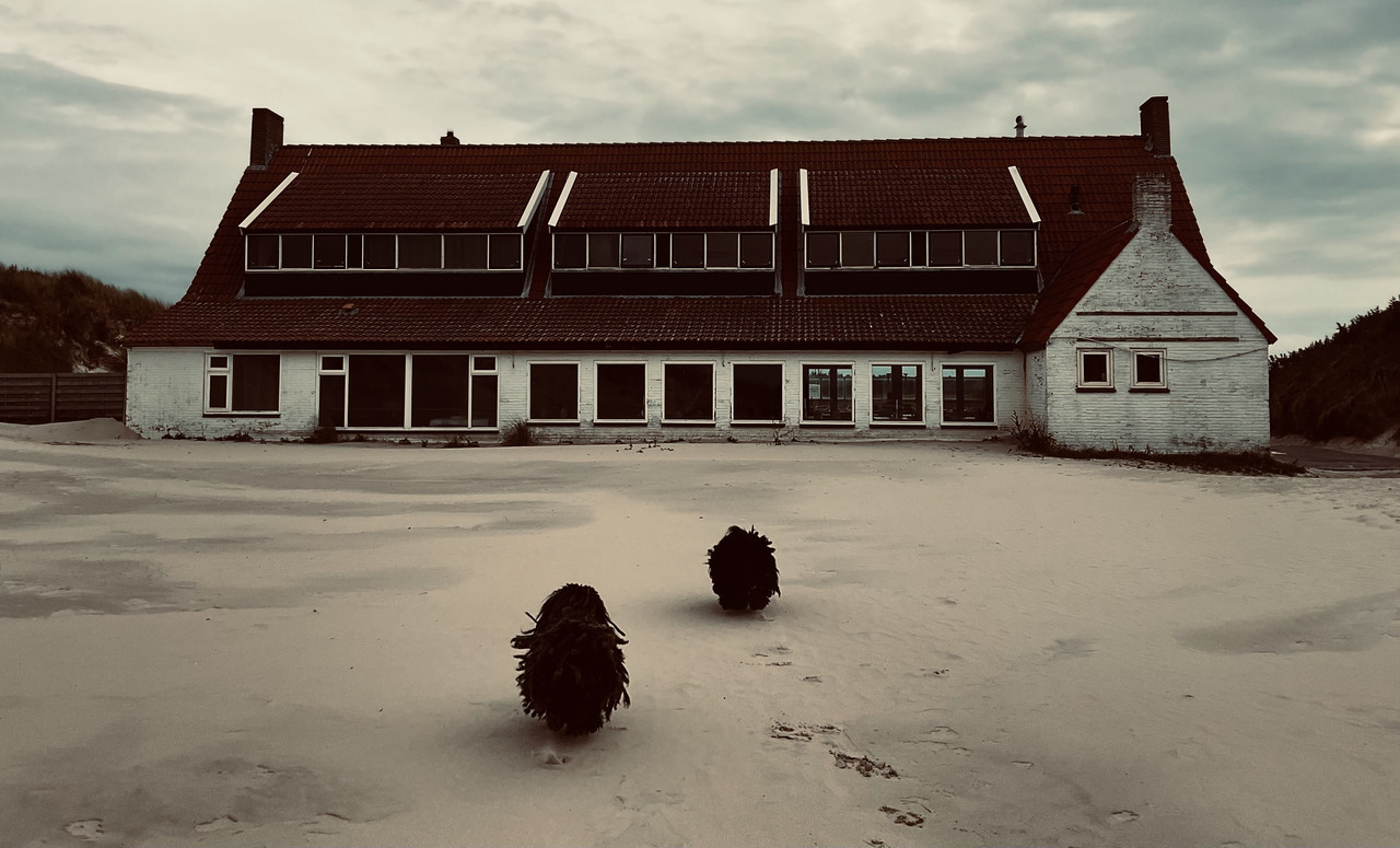 Afbeelding