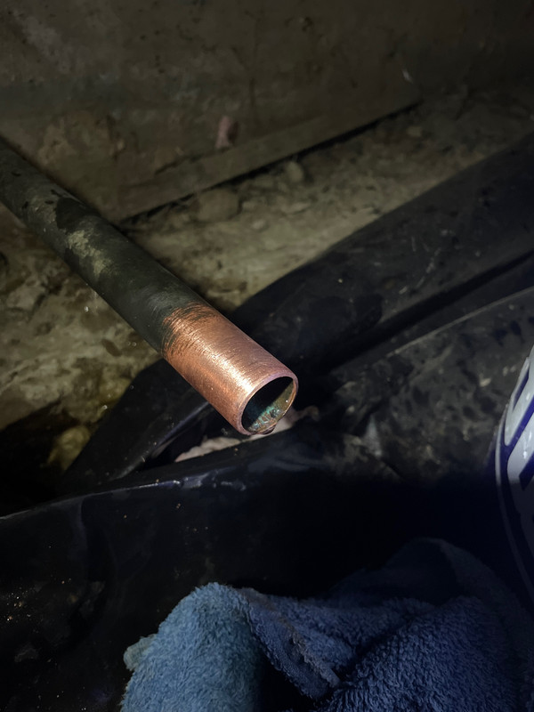 IMG B1FC9FA2 1661 4D03 A872 49A2E3728A38