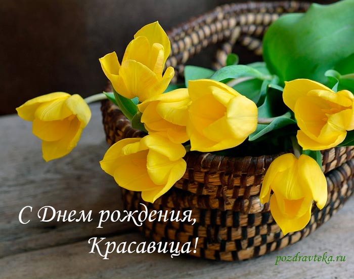 https://i.postimg.cc/vmFmS6cw/351-v-proze.jpg