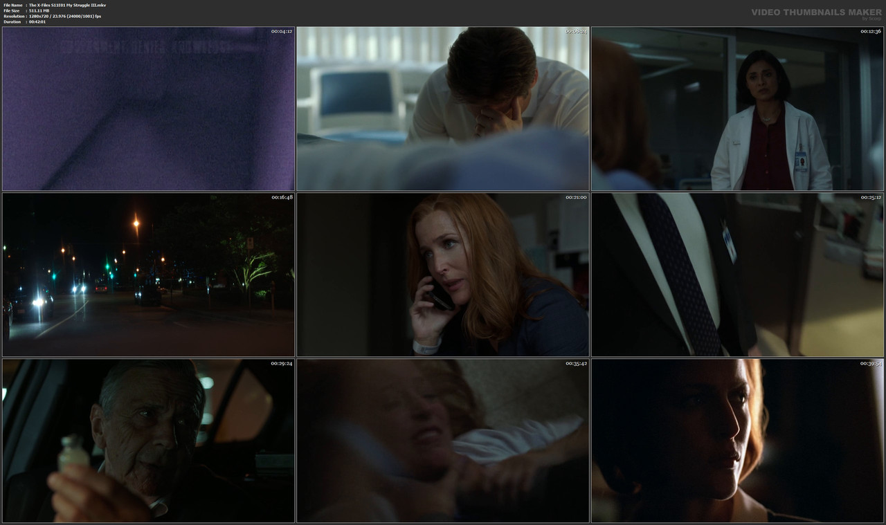 The X-Files S11E01 My Struggle III.mkv