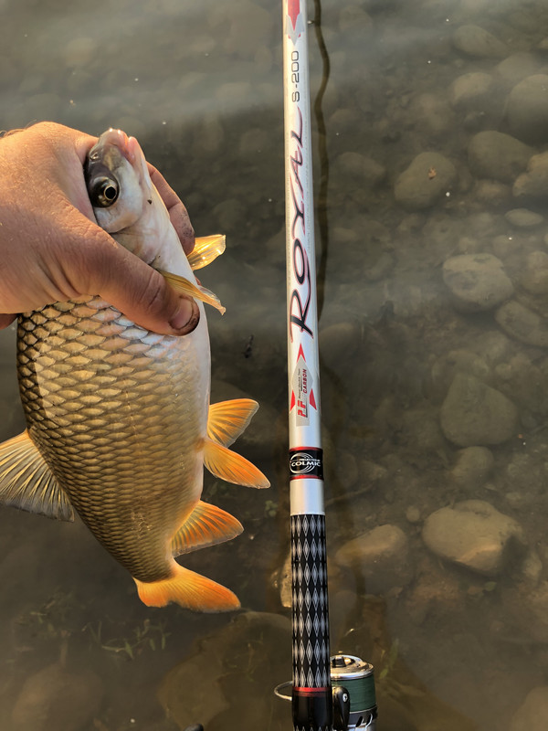 169DEF99-AE1E-4477-8983-8B6B42940376