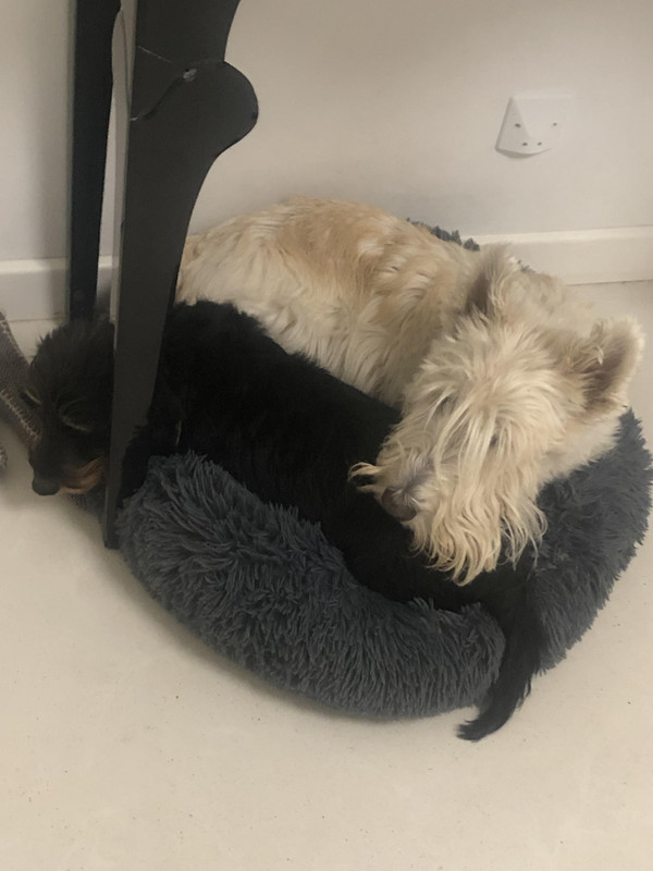 [Image: unnamed-1.jpg]